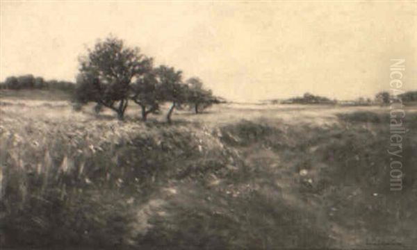 Open Field Landscape - view 1