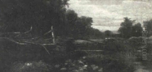 Rushing Creek - view 1