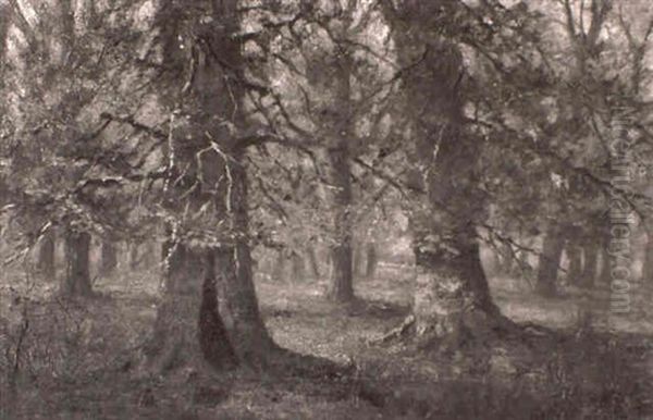 Forrest In Autumn - view 1