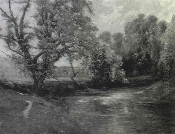 Stream Through The Trees In Summer - view 1