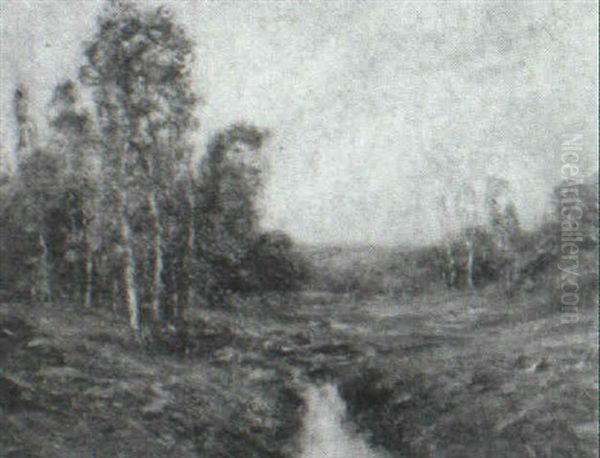 Summer Landscape - view 1