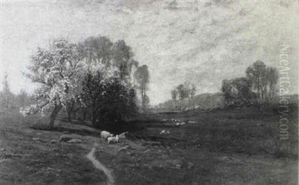 Sheep Grazing In A Spring Landscape - view 1