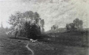 Sheep Grazing In A Spring Landscape Sheep Grazing In A Spring Landscape