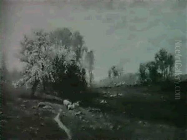 Sheep Grazing Underneath The Appleblossoms - view 1