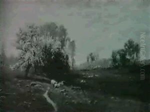 Sheep Grazing Underneath The Appleblossoms