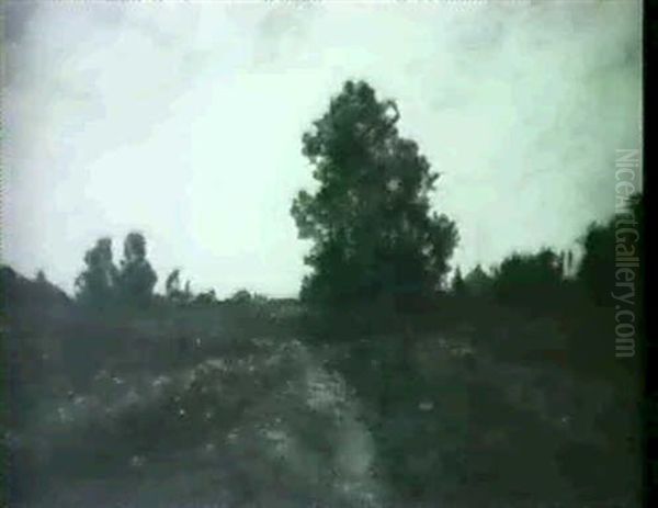 Sunset - view 1