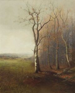 Untitled (tree In Field) by George Gay