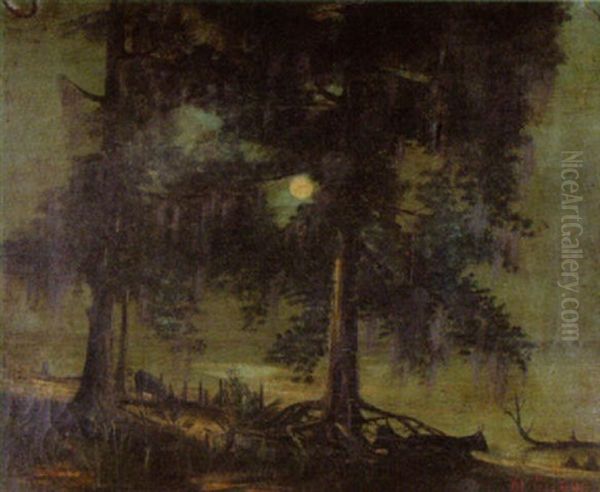 Cypress Swamp At Twilight - view 1