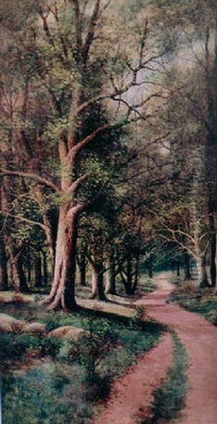 Path Through The Woods - view 1