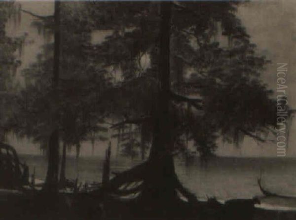 Night Scape Of Cattle Resting Under Cypress Grove Of Lake Pontchatrain - view 1