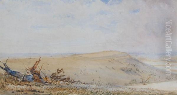 Study Of Trees - view 1