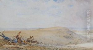 Study Of Trees by Thomas Brabazon Aylmer