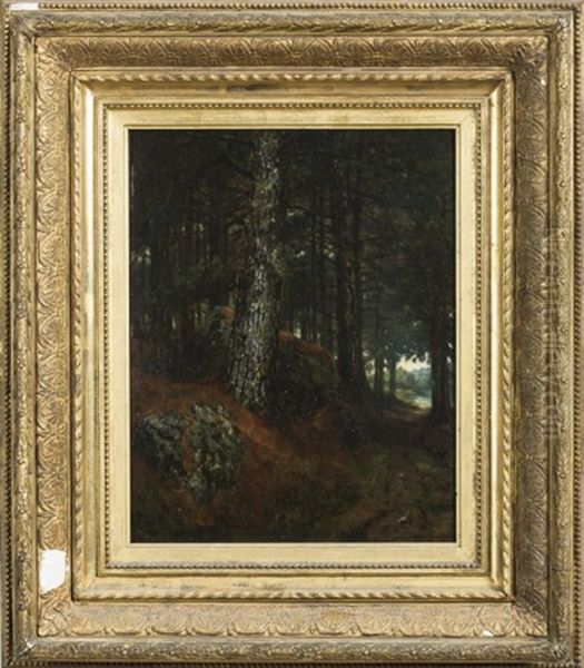 Pine Woods, New Castle, New Hampshire - view 1