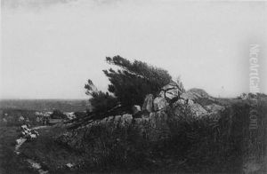 Coastal Landscape, Hingham, Massachusetts