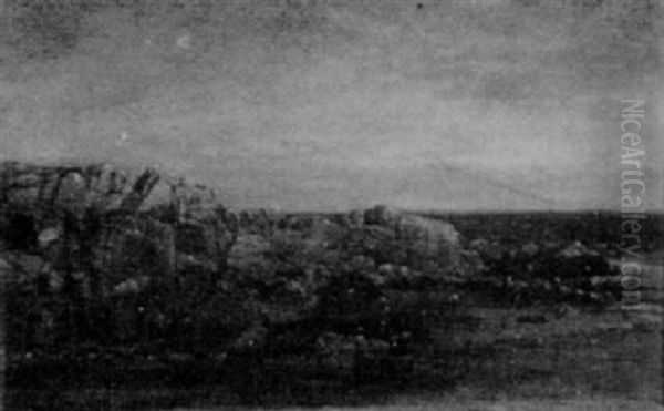 Shore Rocks - view 1
