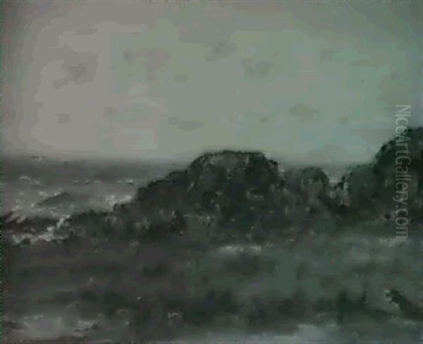 A Rocky Coast - view 1