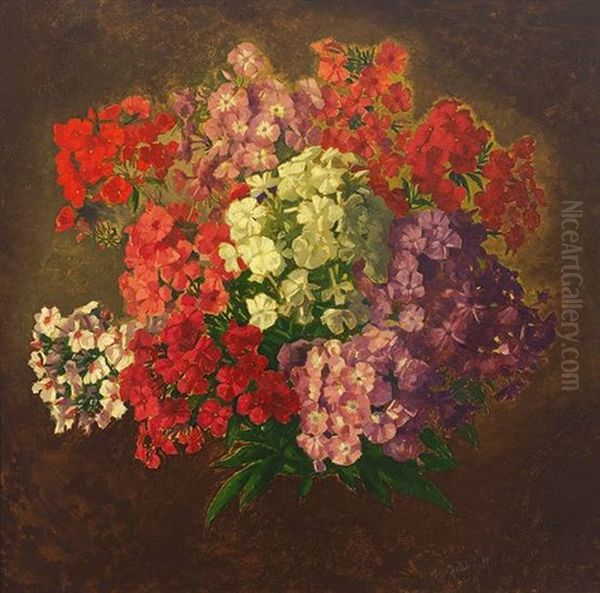 Stilleben Mit Bunten Floxbluten - view 1