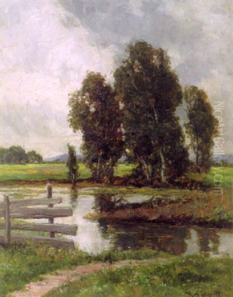 Bayerische Fluslandschaft - view 1