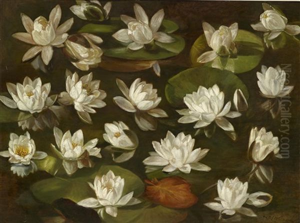 Seerosen (+ Verschiedene Blumensorten (study), Verso) - view 1