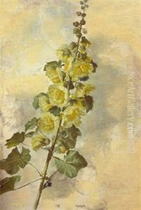 Gelbe Malve by Karl Max Gebhardt