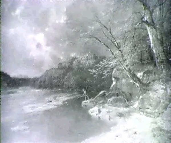 Das Isartal (bei Baierbrunn?) - view 1