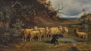 Schafe Und Hutehund by Otto Friedrich Gebler