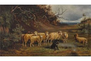 Schafe Und Hutehund by Otto Friedrich Gebler