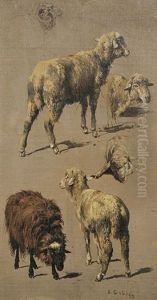 Schafe (studies) Schafe (studies)