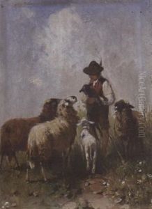 Hutebub Mit Schafen