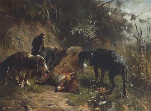 Drei Jagdhunde Bei Einem Erlegten Fuchs - view 1