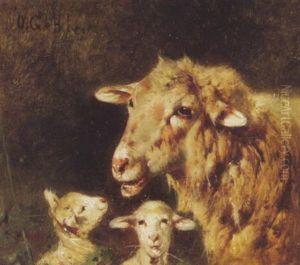 Schaf Und Zwei Lammer by Otto Friedrich Gebler