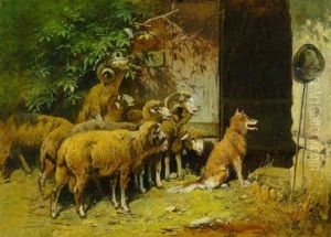 Heimkehrende Schafe Und Hund Vor Dem Stall