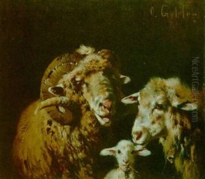 A Family Of Sheep A Family Of Sheep