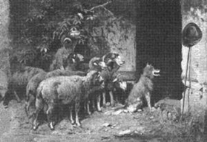 Neugierig Schauen Schafe Und Ein Hund In Die Geoffnete Stalltur