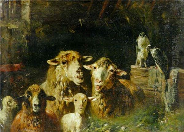 A Stable Of Sheep - view 1
