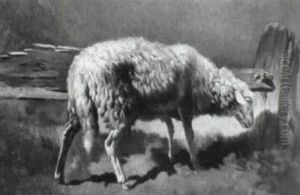 Schaf Am Holzernen Zaun