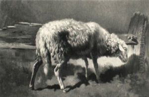 Schaf Am H"lzernen Zaun