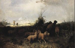 Aufgeschreckte Schafherde