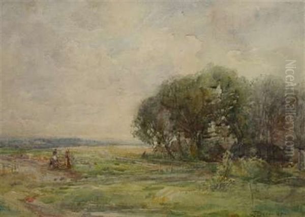 The Muirton Near Blairgowrie - view 1