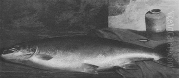 Salmon - view 1