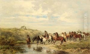 Chevaux A L'abreuvoir
