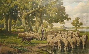 Schaapherder by Francois Geerts