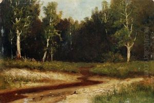 Landschaft Landschaft