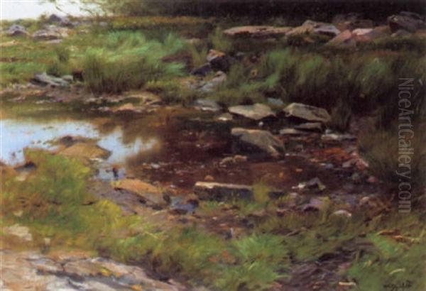 Landscape - view 1