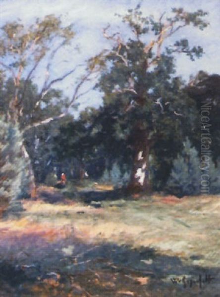 Fran Hallands Vadero - view 1