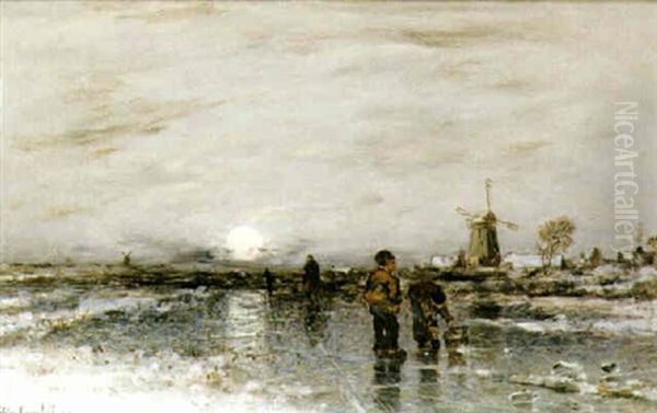Hollandsk Vintersol - view 1