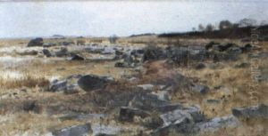 Stenig Strand by Wilhelm von Gegerfelt