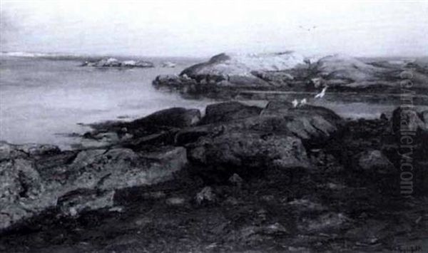Sommar, Torekov - view 1
