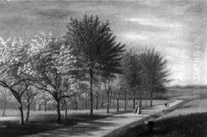 Landschaft Mit Bluhenden Baumen Und Flaneuren Bei Seedorf