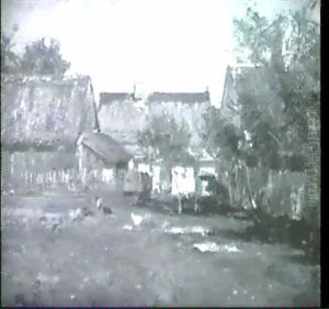Bauernhof, Im Vordergrund Huhner